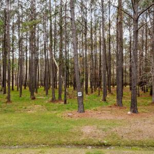 3-web-or-mls-DJI_0492