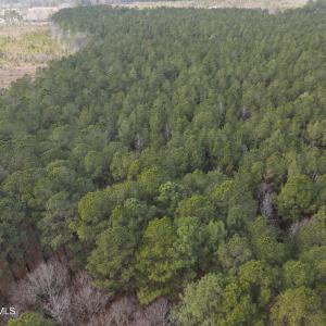 DJI_0902