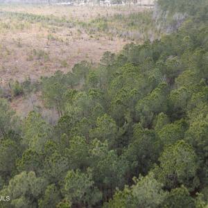 DJI_0903