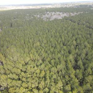 DJI_0906