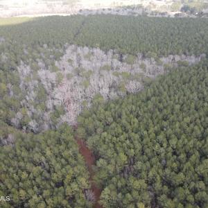 DJI_0907