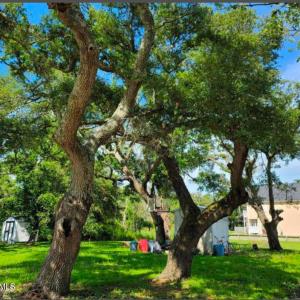 114 Lewistown Road, Beaufort, NC 28516 p