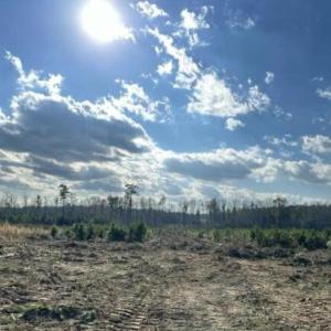 Old Spring Hope