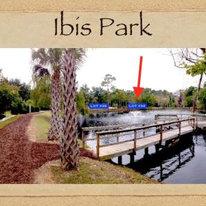 Lot #34 Location on Pond:Ibis Park