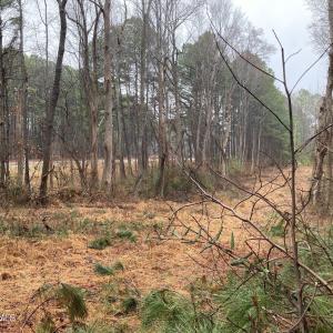 powerline cut pic