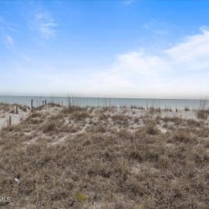 First line of vegetation