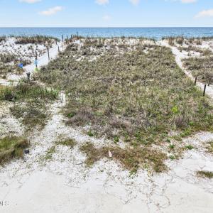 Protective Dune