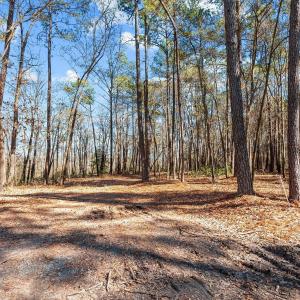 14-web-or-mls-_DSC3477