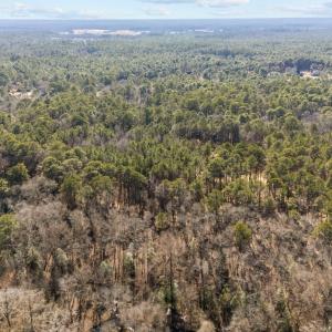 4-web-or-mls-DJI_20250130125230_0245_D