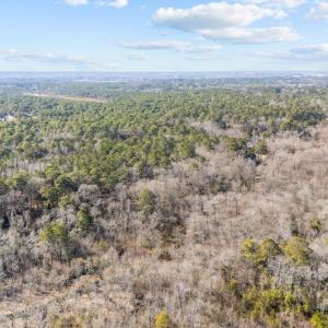 5-web-or-mls-DJI_20250130125319_0246_D