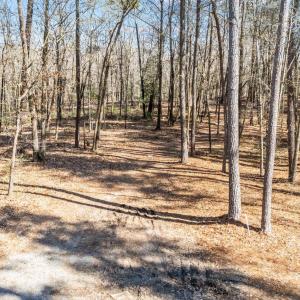 8-web-or-mls-DJI_20250130125806_0250_D