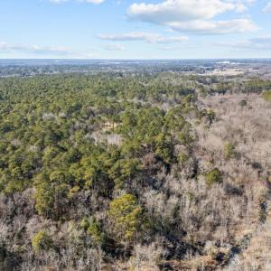 6-web-or-mls-DJI_20250130125354_0247_D