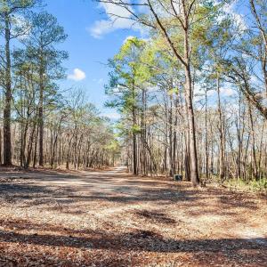 16-web-or-mls-_DSC3492