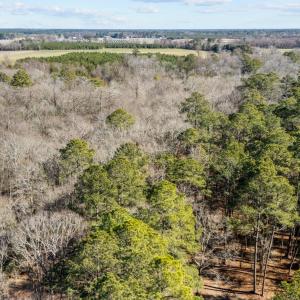 9-web-or-mls-DJI_20250130130022_0251_D