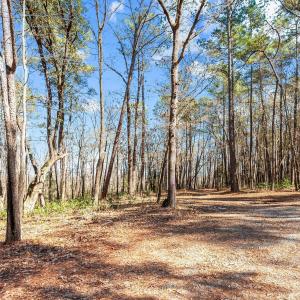 15-web-or-mls-_DSC3482