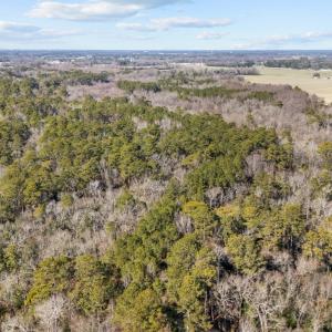 11-web-or-mls-DJI_20250130130250_0254_D