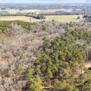 2-web-or-mls-DJI_20250130124932_0241_D