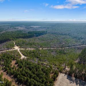TBD Misty Morning Trail