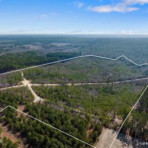 TBD Misty Morning Trail