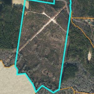 TBD Misty Morning Trail