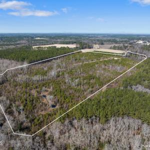 TBD Misty Morning Trail