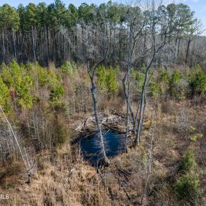 TBD Misty Morning Trail