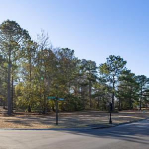 1071 N Middleton-15