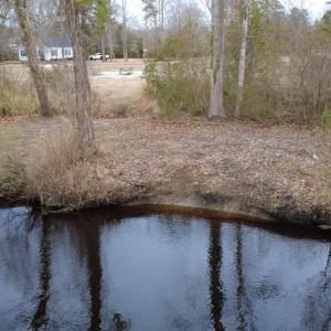 Canal Bank