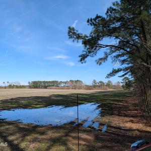 PXL_20250218_182438546