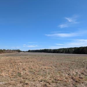 PXL_20250218_174909475