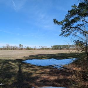 PXL_20250218_182416930