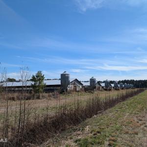 PXL_20250218_181719361