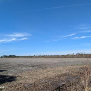 PXL_20250218_174549556