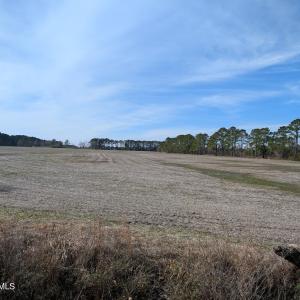 PXL_20250218_183304581