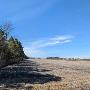 PXL_20250218_174546946