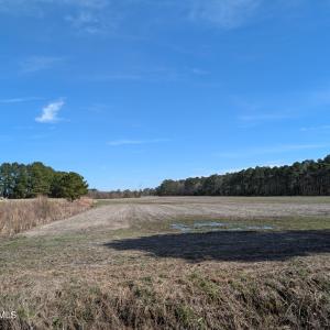 PXL_20250218_181932925