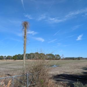 PXL_20250218_182017158