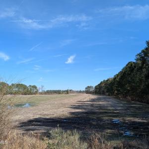 PXL_20250218_182018757