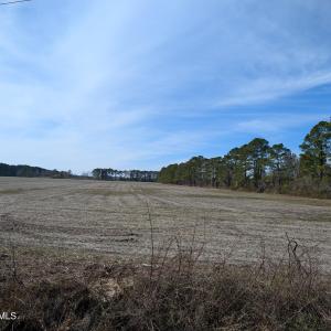 PXL_20250218_183323300