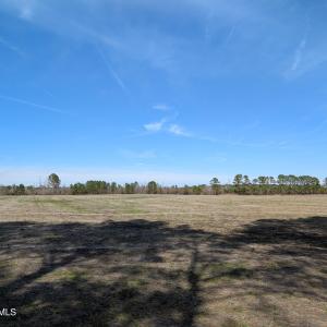 PXL_20250218_182745250