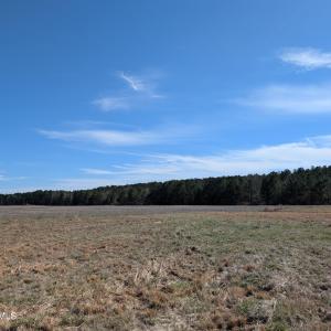 PXL_20250218_174910916