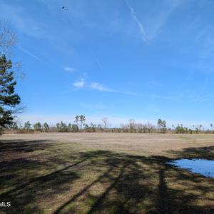 PXL_20250218_182414457