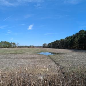 PXL_20250218_181958185.MP