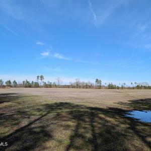 PXL_20250218_182442886