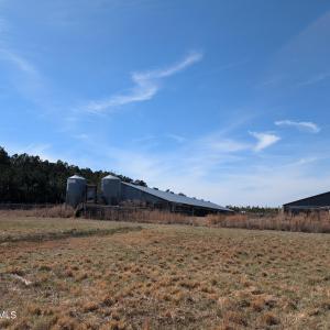 PXL_20250218_175744749