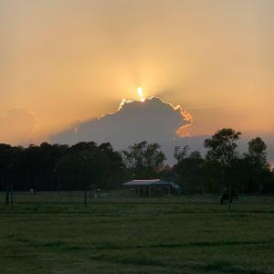 IMG_4760