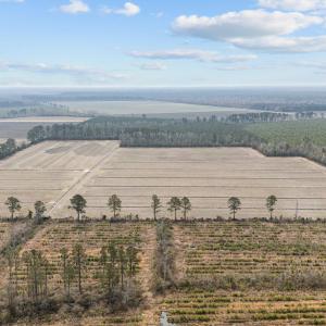 14-web-or-mls-DJI_20250313115523_0049_D