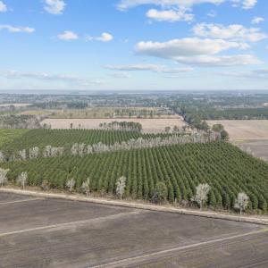 7-web-or-mls-DJI_20250313115152_0038_D