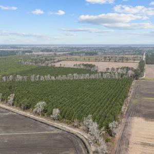 6-web-or-mls-DJI_20250313115132_0037_D