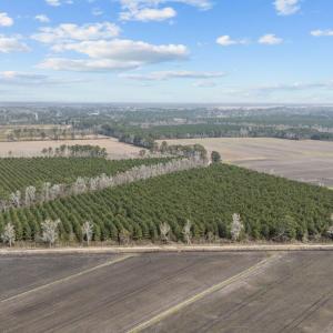 8-web-or-mls-DJI_20250313115209_0039_D